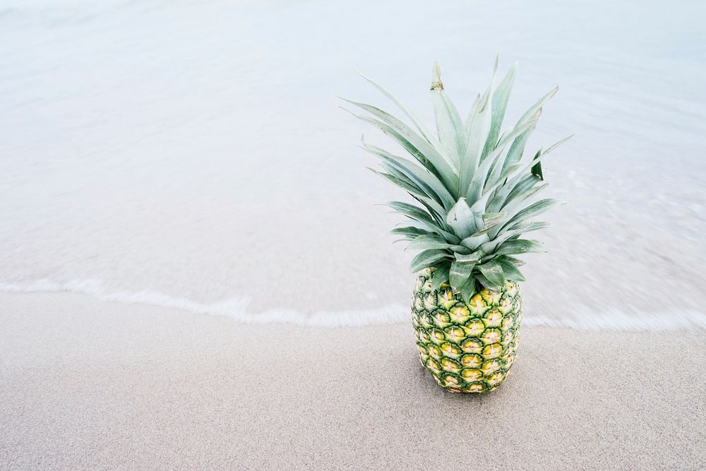 Fresh pineapple sitting on the ocean shoreline. Original public domain image from Wikimedia Commons