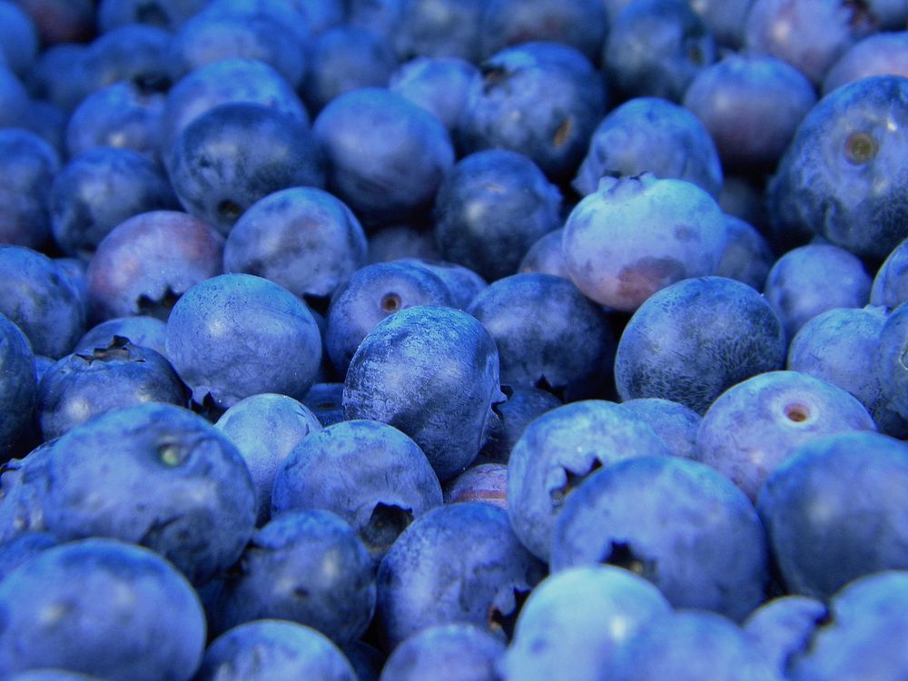 Macro shot of fresh blueberries. Original public domain image from Wikimedia Commons