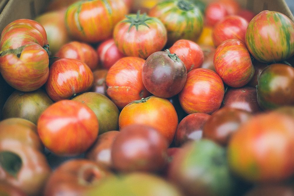 Fresh organic tomatoes. Original public domain image from Wikimedia Commons