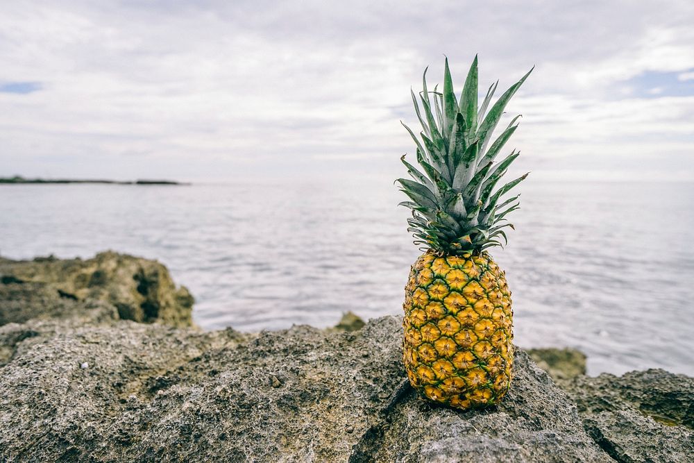 Fresh pineapple on a rocky shore by the ocean. Original public domain image from Wikimedia Commons