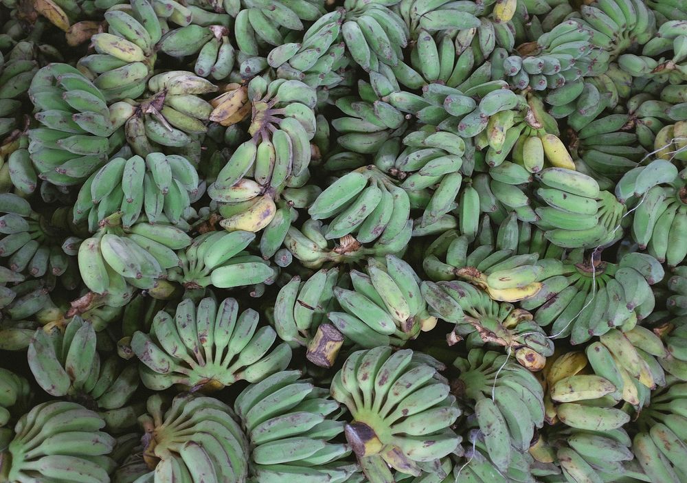 Bunches of unripe green bananas for sale. Original public domain image from Wikimedia Commons