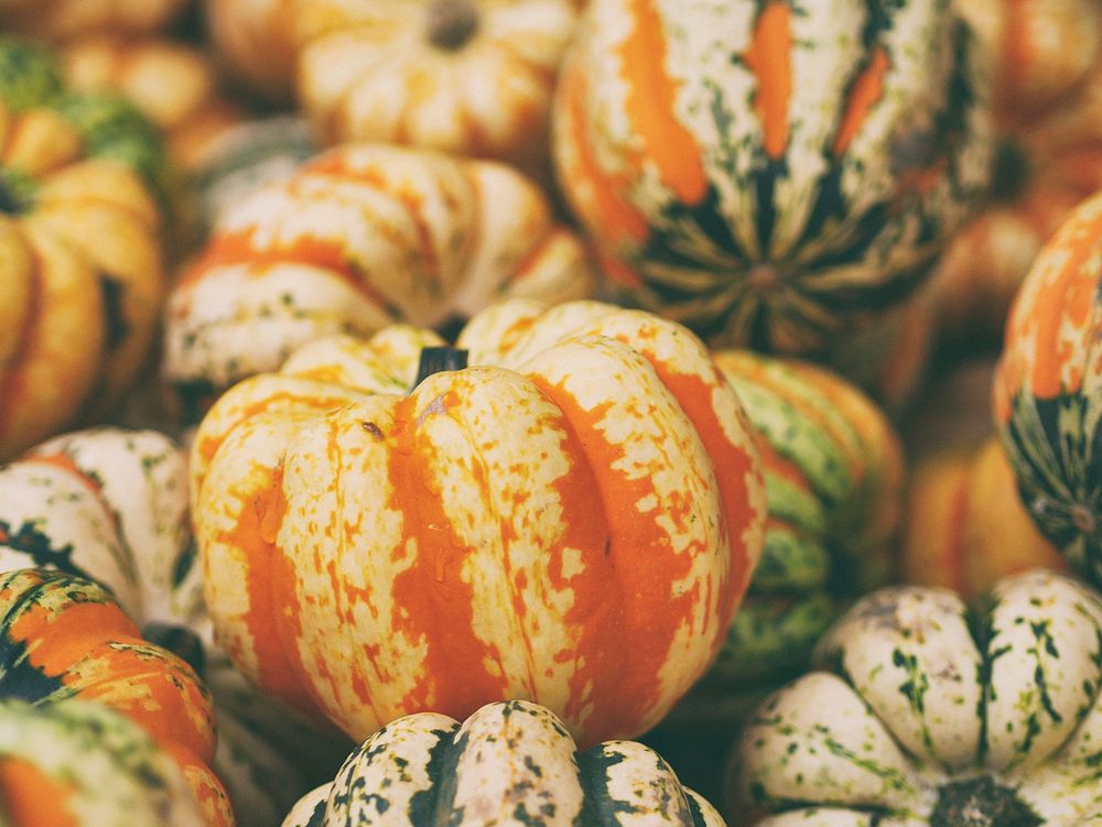 Pile of pumpkins and gourds from a fall harvest. Original public domain image from Wikimedia Commons