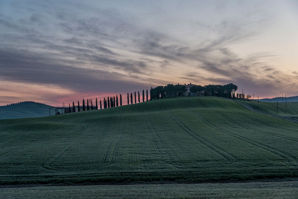 Green summer field. Original public domain image from Wikimedia Commons