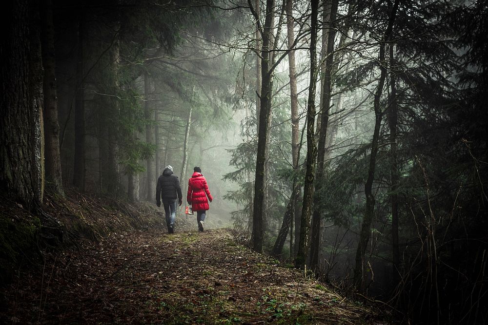 Two person walking in forest. Original public domain image from Wikimedia Commons