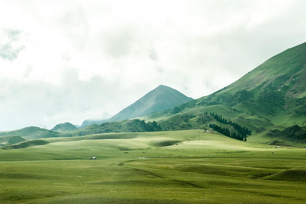 Green pastures stretching to the horizon near a mountain peak. Original public domain image from Wikimedia Commons