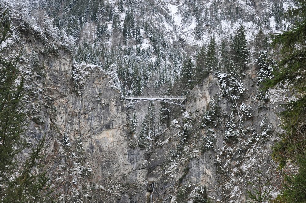 Trees on a mountain with a bridge in the center crossing a ravine near Neuschwanstein Castle. Original public domain image…