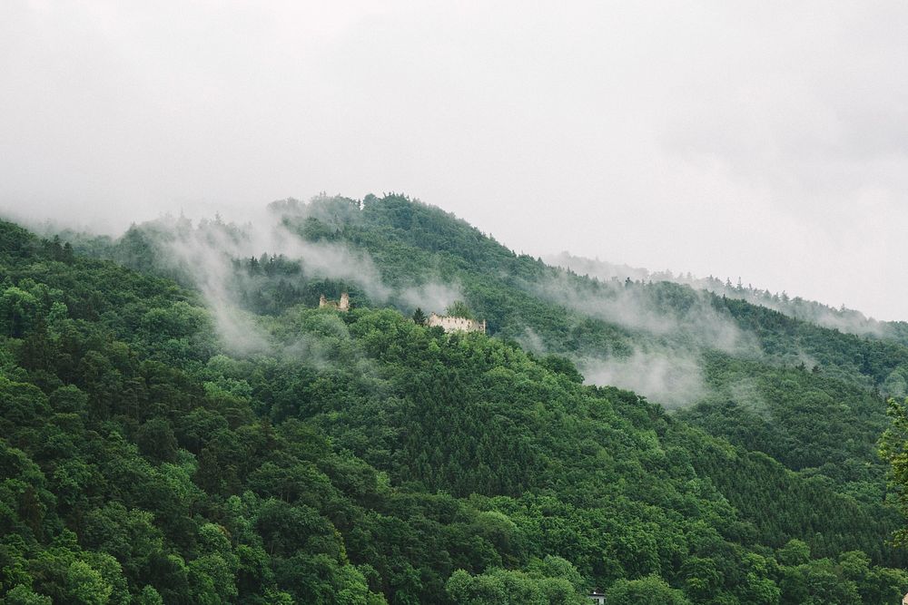 Fog over a forest on a slight mountain slope. Original public domain image from Wikimedia Commons