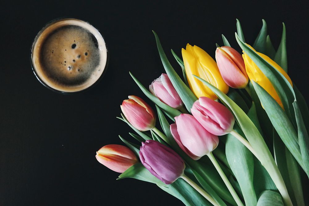Pastel tulips and coffee. Original public domain image from Wikimedia Commons