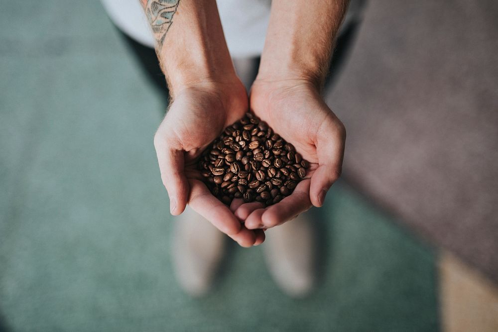A person with a tattoo on his arm holding coffee beans in his hands. Original public domain image from Wikimedia Commons