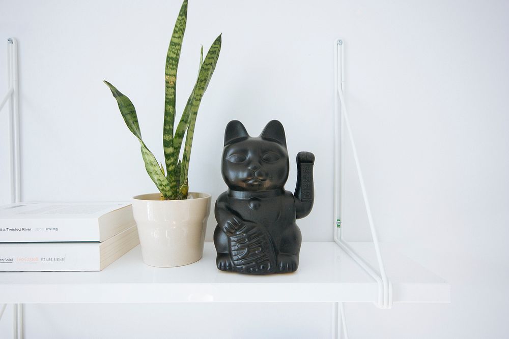 A black maneki-neko figurine depicting a beckoning white cat next to a flowerpot and two books on a shelf. Original public…