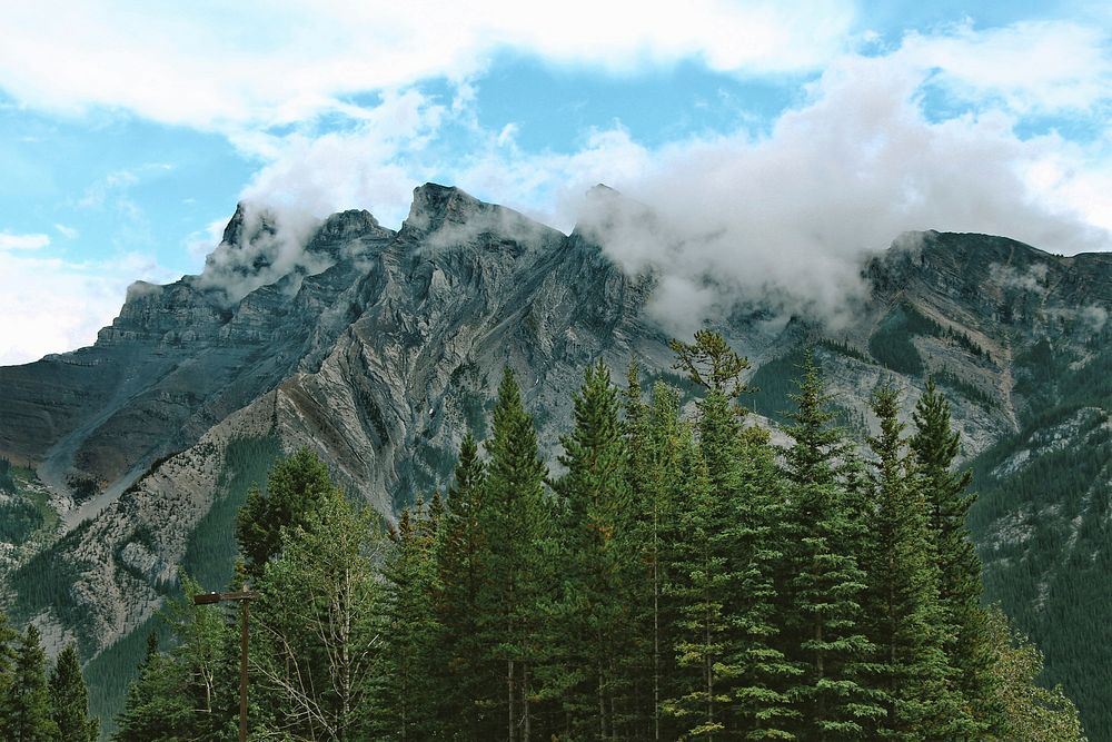 Tall coniferous trees at the foot of a mountain ridge in Banff. Original public domain image from Wikimedia Commons