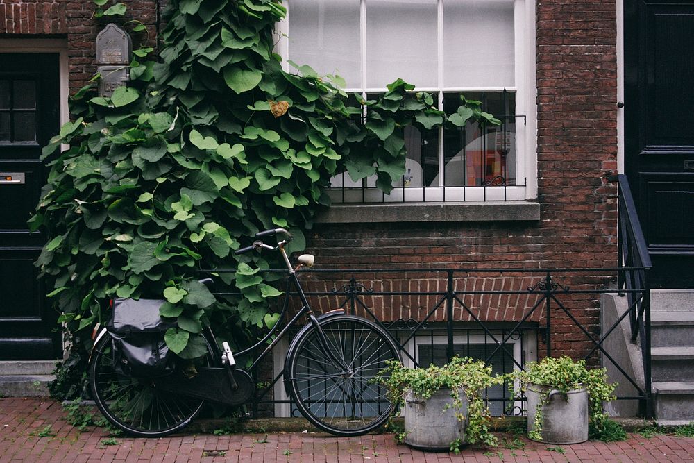 Bike covered in green leaves sits in front of brick building and window beside two plants. Original public domain image from…