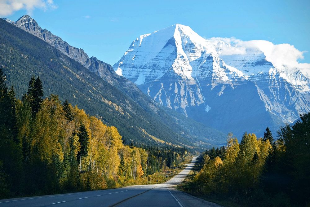 A road leading towards a snow covered mountain peaks surrounded by lush green forest and trees in Mount Robson. Original…