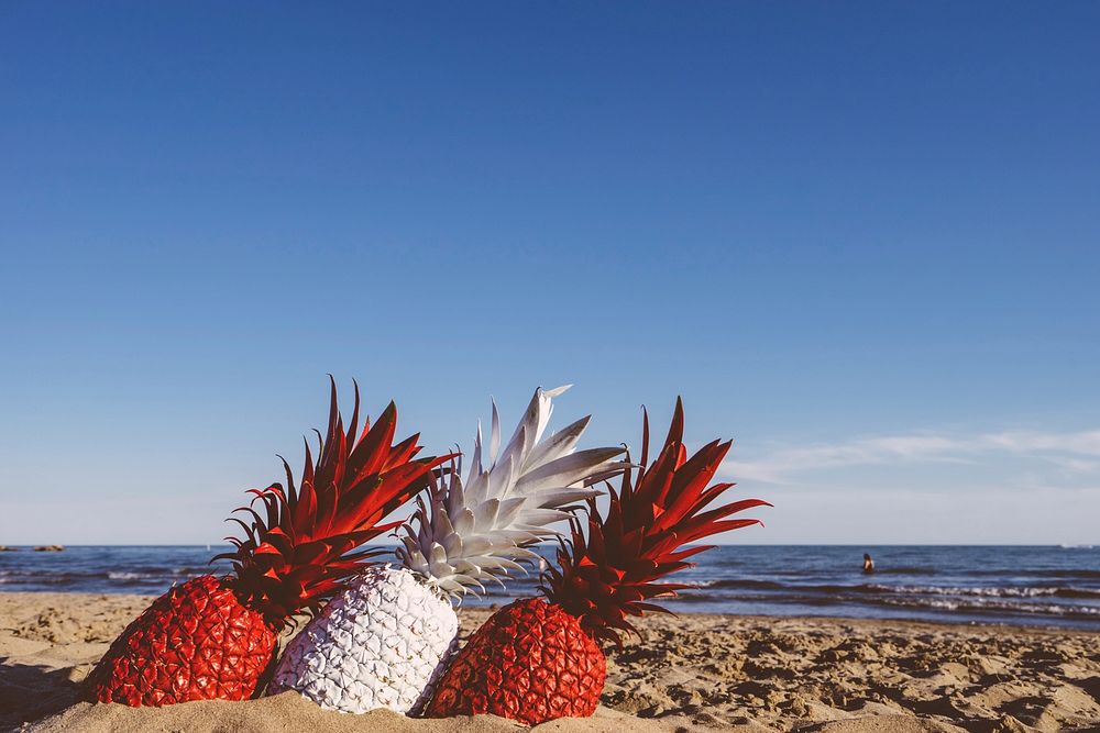 A close-up of three pineapples painted red and white sticking out of the beach sand. Original public domain image from…