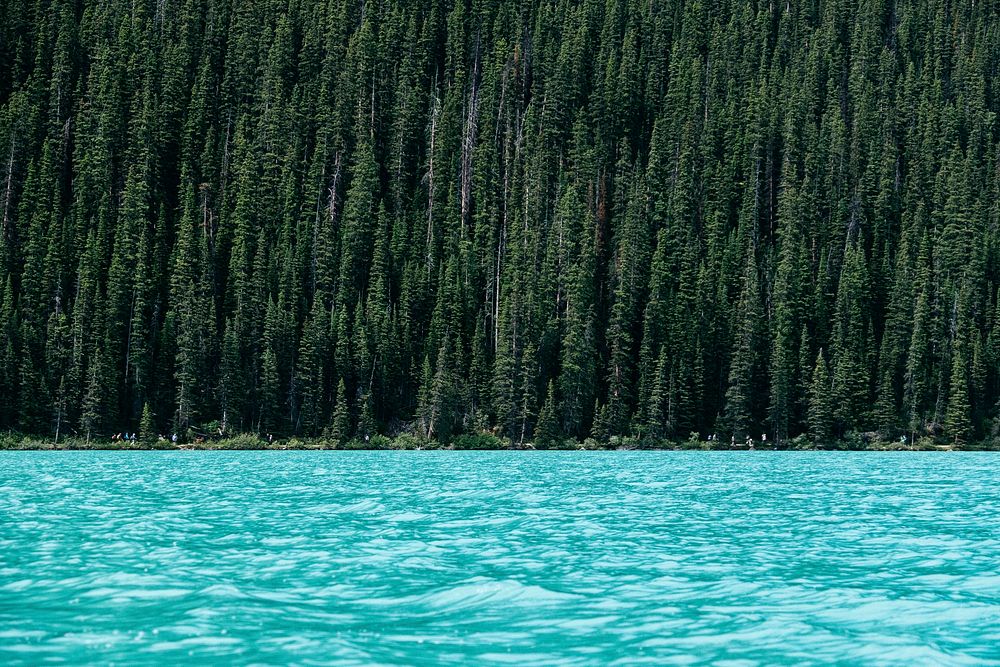 Choppy turquoise lake with tall evergreen trees on its shore. Original public domain image from Wikimedia Commons