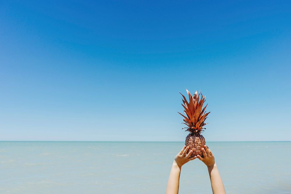 A person holding up a gold-painted pineapple against the vast sea stretching to the horizon. Original public domain image…