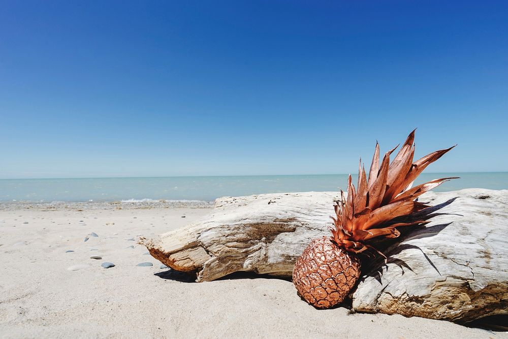 A pineapple leaning against a log at the beach.. Original public domain image from Wikimedia Commons