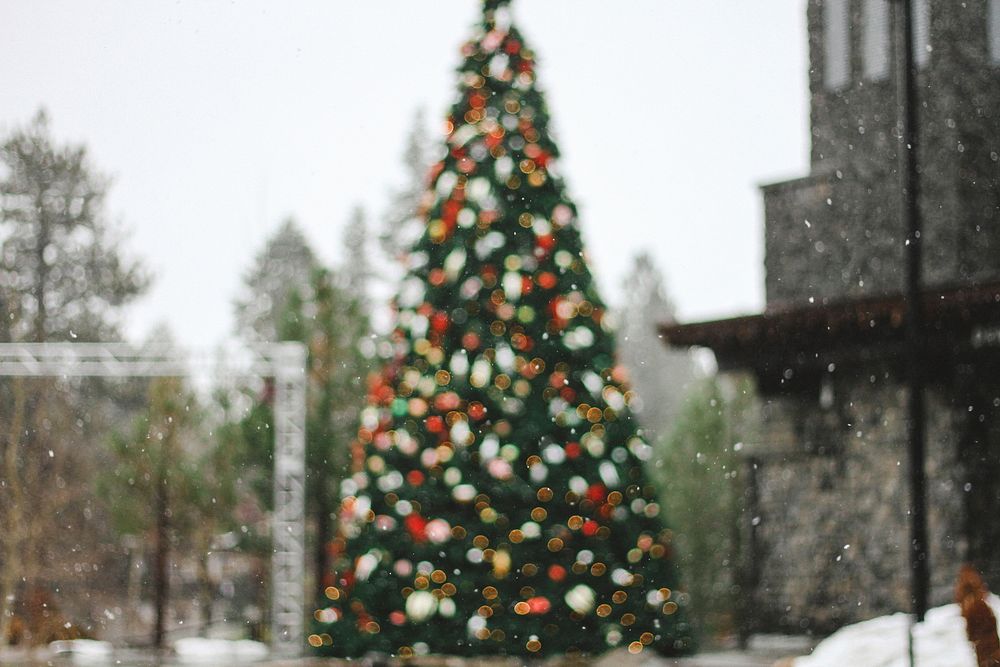 Festive Christmas season at Mammoth Lakes, United States. Original public domain image from Wikimedia Commons