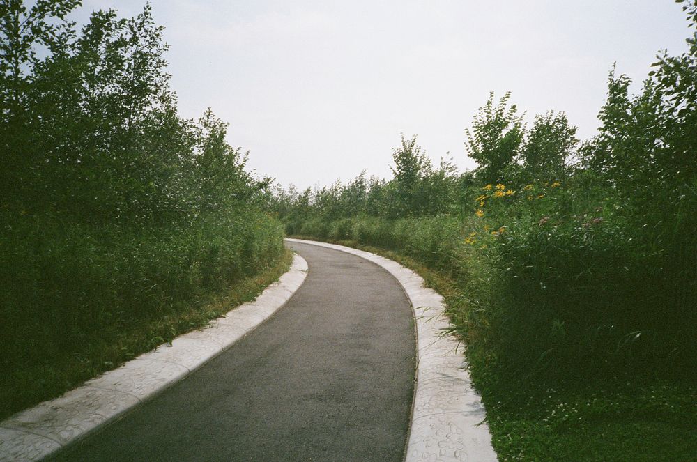 Curved road in Governors Island, New York. Original public domain image from Wikimedia Commons