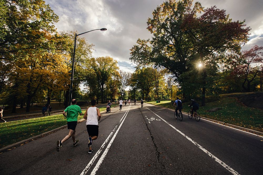 Central Park, New York, United States. Original public domain image from Wikimedia Commons