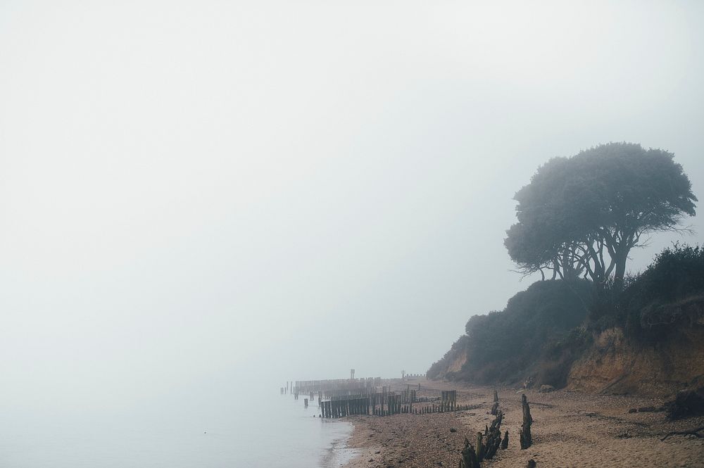 Desolate beach shores covered in fog on a misty morning near the ocean. Original public domain image from Wikimedia Commons