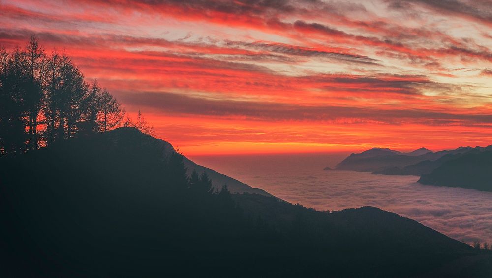 Silhouette of trees on a mountain against a red-streaked cloudy sky, fog and mountains in the distance. Original public…