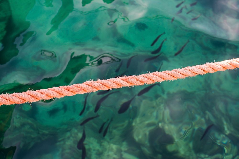 A rope sitting along the water near the Italian island, Isola del Giglio. Original public domain image from Wikimedia Commons