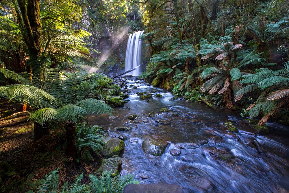 A waterfall pouring into a frothy stream in a forest. Original public domain image from Wikimedia Commons