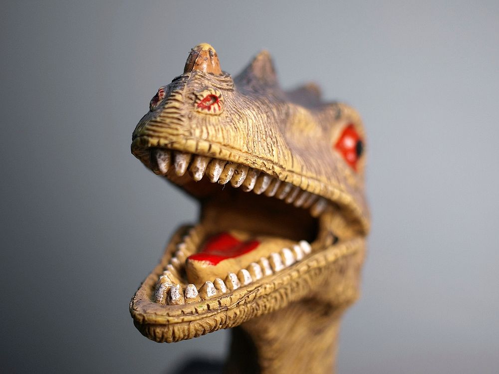 The head of a plastic dinosaur toy with the paint wearing off. Original public domain image from Wikimedia Commons