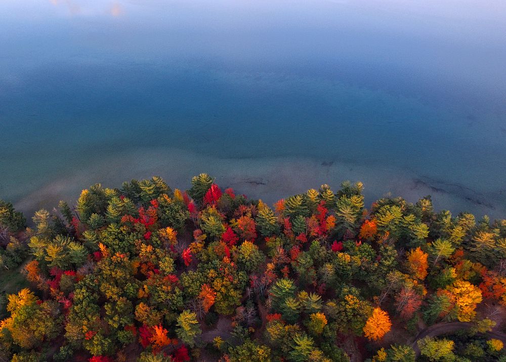 Autumn-colored trees on the shore of a lake in Grayling, Michigan. Original public domain image from Wikimedia Commons