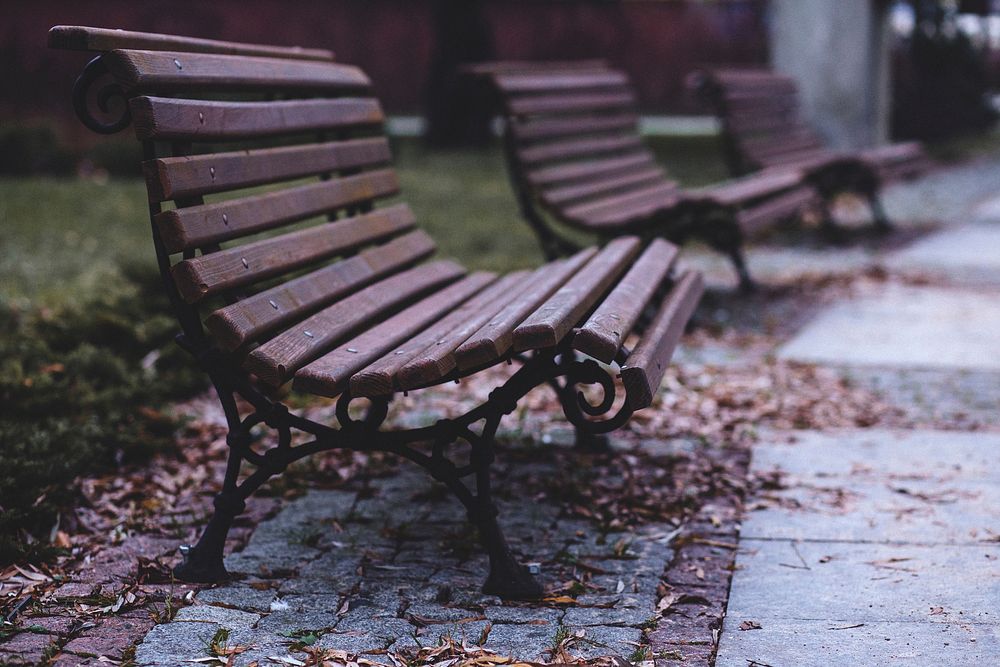 Benches in a park. Original public domain image from Wikimedia Commons