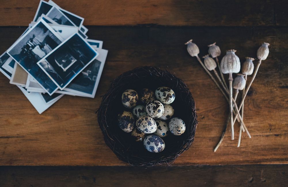 Quail eggs on a plate. Original public domain image from Wikimedia Commons