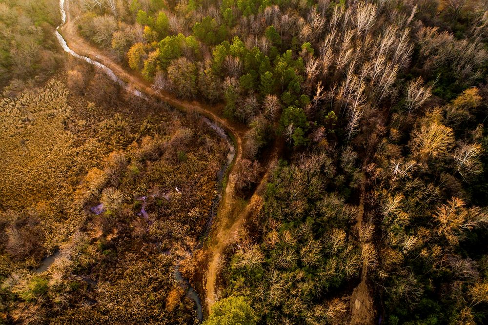 A breathtaking aerial view of a colorful forest with a small stream. Original public domain image from Wikimedia Commons