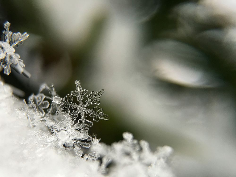 Snowflake. Original public domain image from Wikimedia Commons