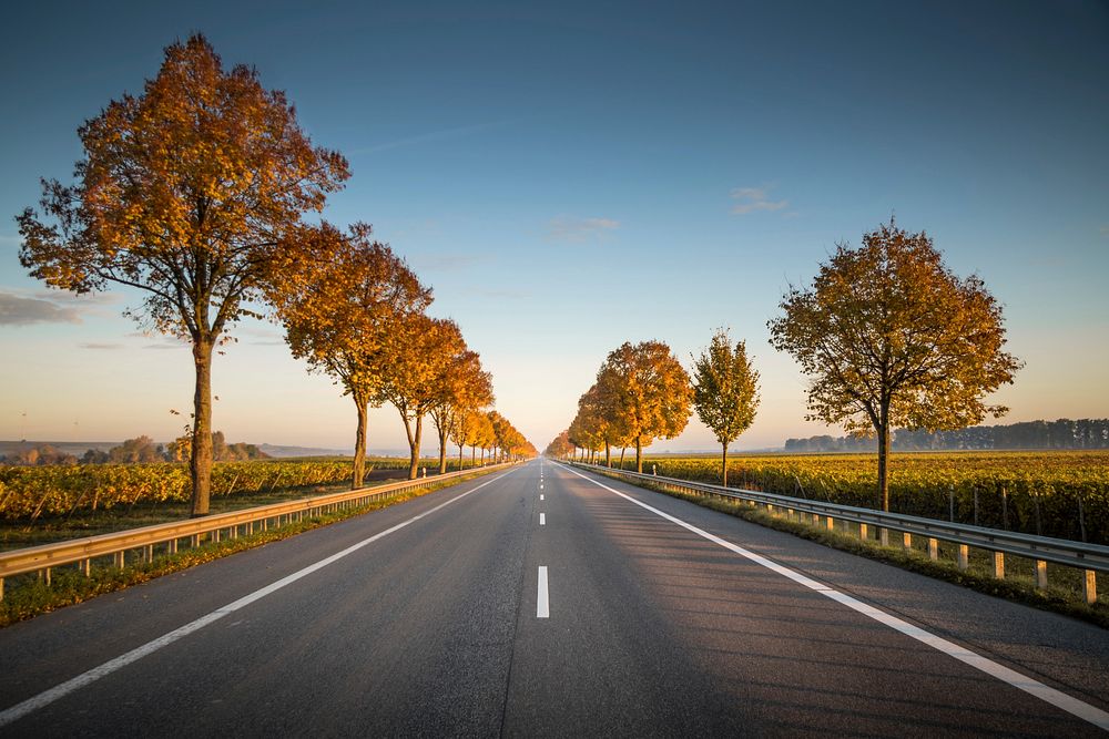 Road in Alsheim, Germany. Original public domain image from Wikimedia Commons