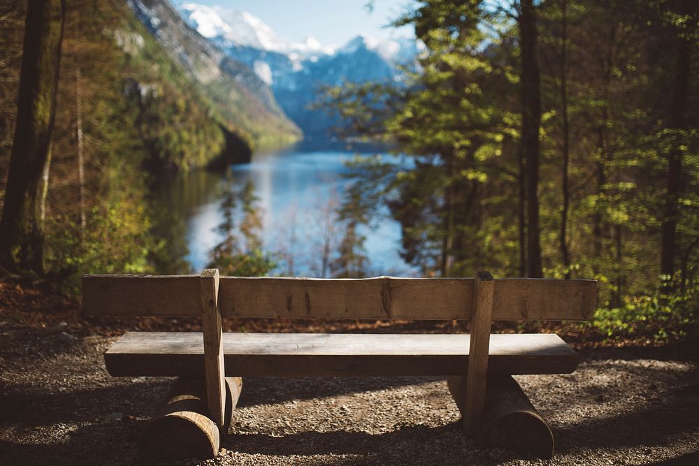 Woodbench in the forest with lake view. Original public domain image from Wikimedia Commons