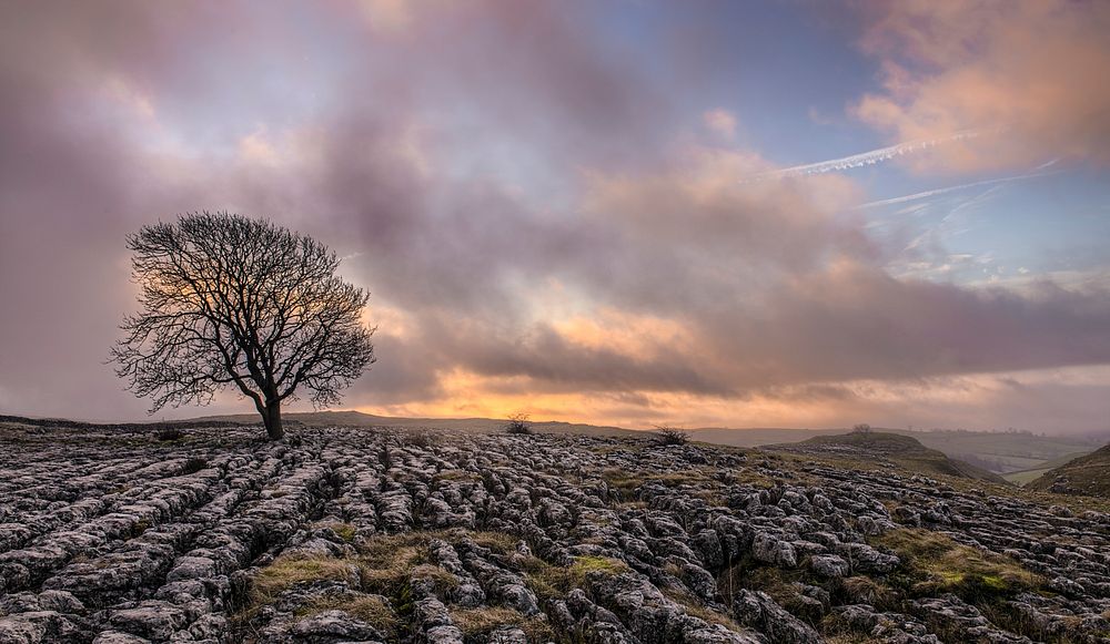 Dead tree against cloudy sky. Original public domain image from Wikimedia Commons