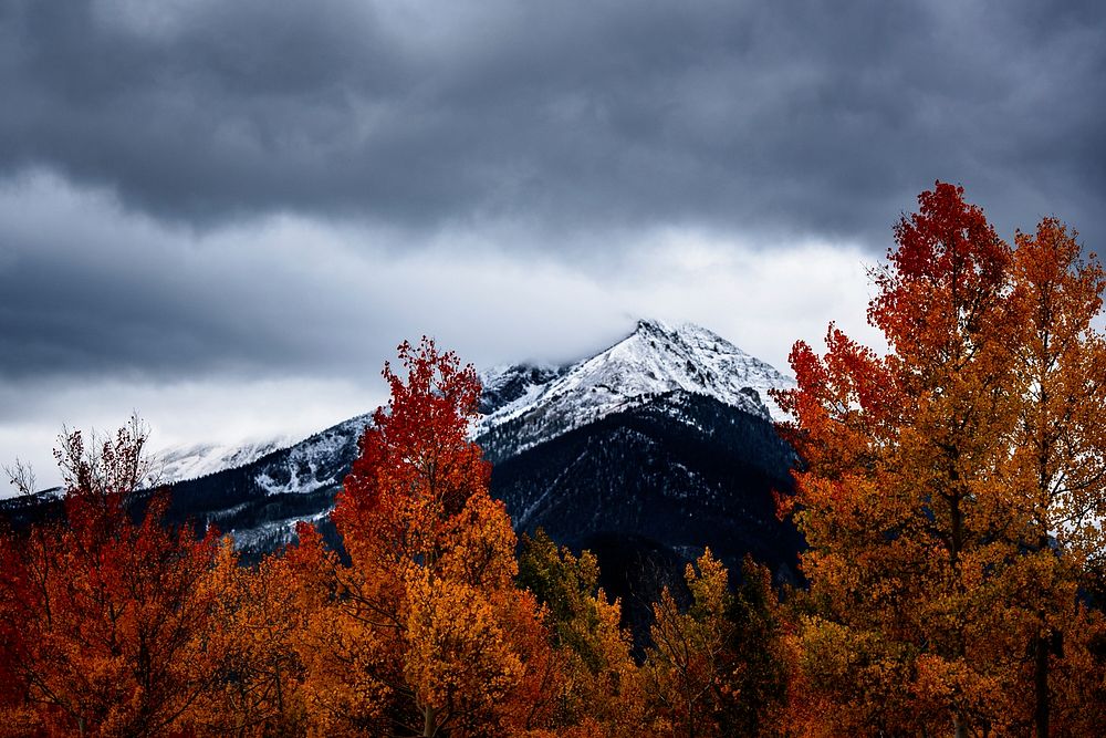 Snowcapped mountain and autumn forest.Original public domain image from Wikimedia Commons