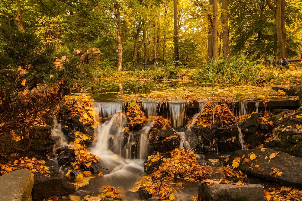 Waterfall in autumn. Original public domain image from Wikimedia Commons