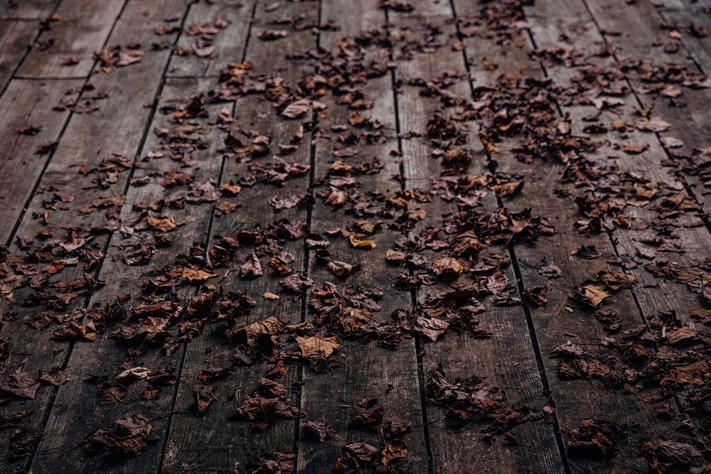 A wooden deck covered in curled-up autumn leaves. Original public domain image from Wikimedia Commons