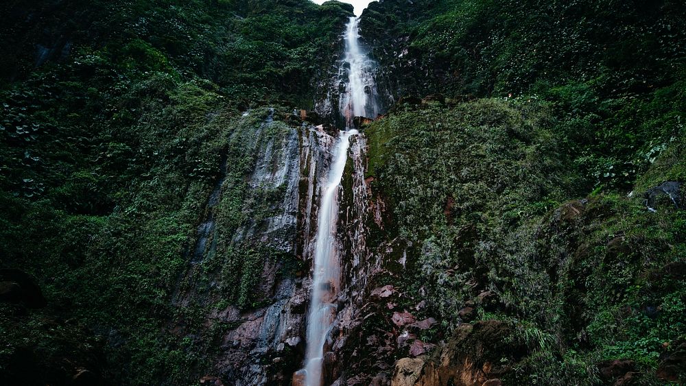 A tall waterfall flowing down a tall rock face covered in green vegetation. Original public domain image from Wikimedia…