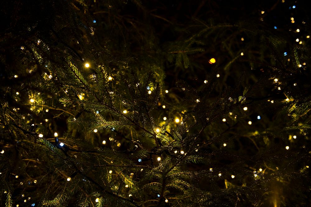 A Christmas tree with fairy lights on it in Ilkley. Original public domain image from Wikimedia Commons