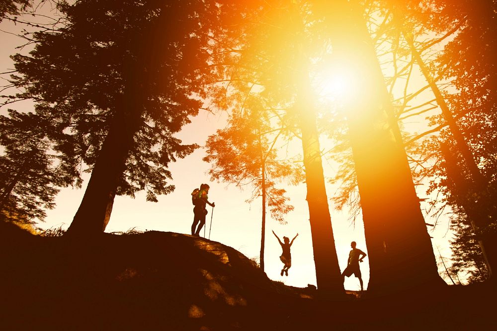 The sun flares between tree trunks and over three hikers on a hill, two standing, one jumping with arms raised. Original…