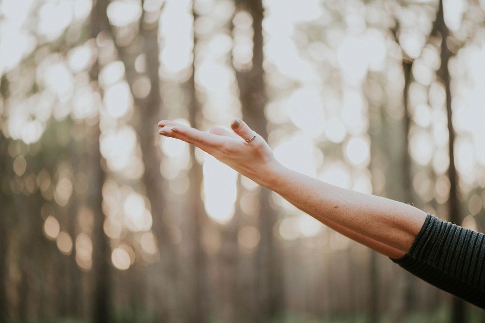 A person stretching out their arm and hand in the forest in Julington Durbin Creek Preserve. Original public domain image…