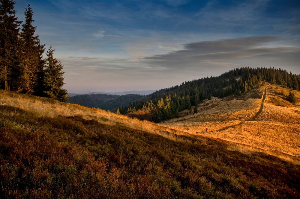 The golden hour sunset over a mountain with trees and open grass in Bacówka PTTK na Rycerzowej.. Original public domain…
