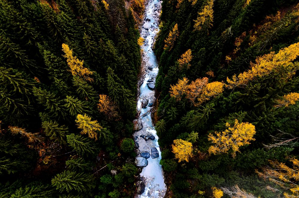 A drone view of evergreen trees and a stream in Mühlebach VS. Original public domain image from Wikimedia Commons