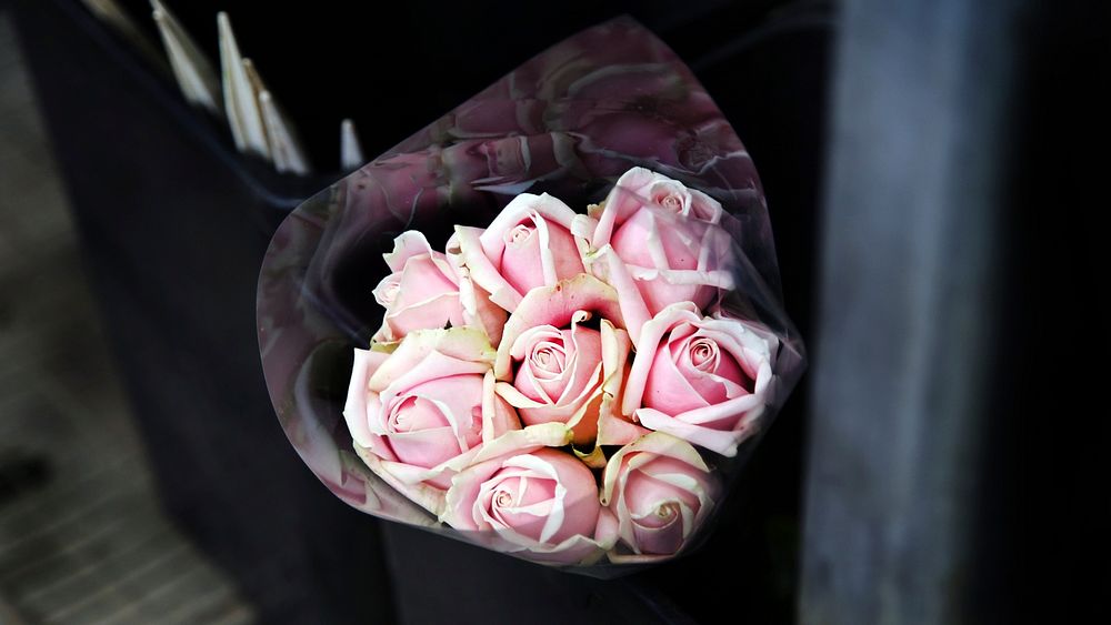 A bouquet of pink roses wrapped in cellophane. Original public domain image from Wikimedia Commons