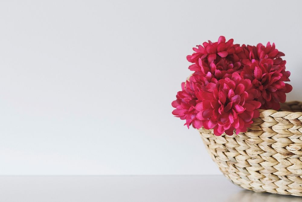 Red flowers in a wicker basket against a white background. Original public domain image from Wikimedia Commons