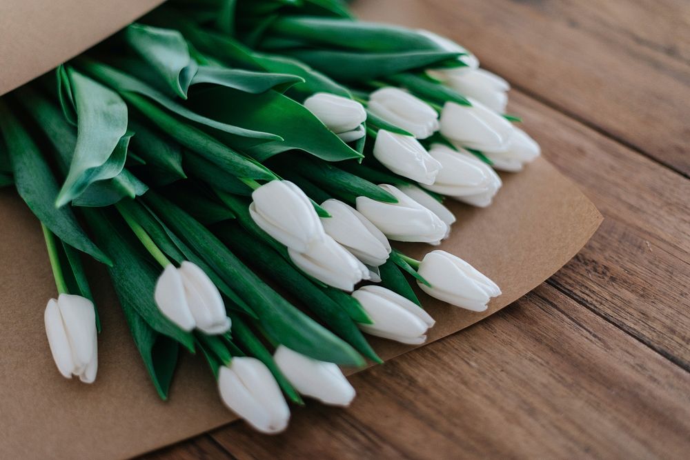 White tulips in bouquets wrapped in brown paper. Original public domain image from Wikimedia Commons