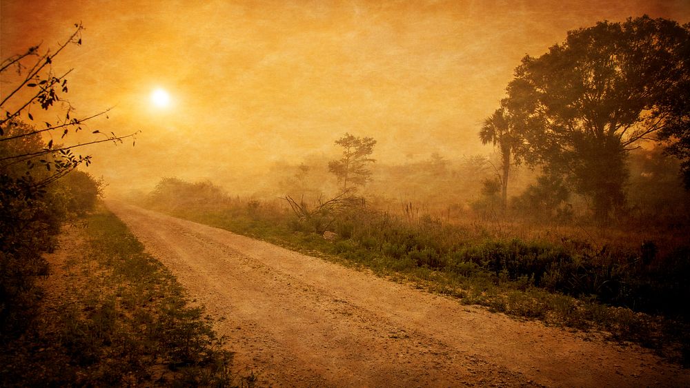 Sunset over a dirt road in the wilderness. Original public domain image from Wikimedia Commons